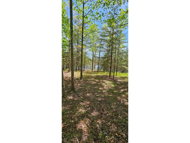 Beautiful lot in a nature resort! This 3.36 acre lot is fully - photo 26