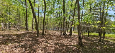Beautiful lot in a nature resort! This 3.36 acre lot is fully - photo 27