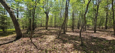 Beautiful lot in a nature resort! This 3.36 acre lot is fully - photo 28