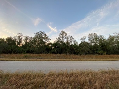 Northport Waterway Lakes and Canals Lot For Sale in North Port Florida