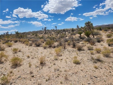 Lake Mead Lot For Sale in Meadview Arizona