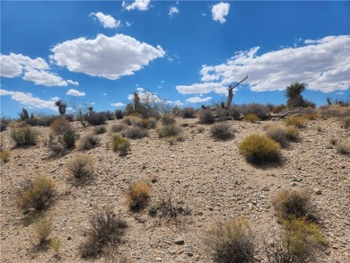 Lake Mead Lot For Sale in Meadview Arizona