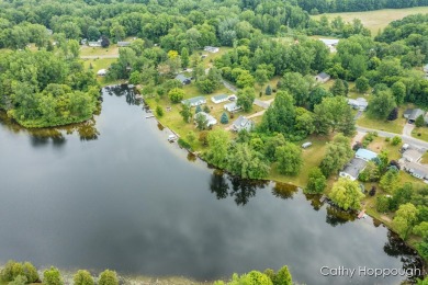 Lake Lot For Sale in Stanton, Michigan