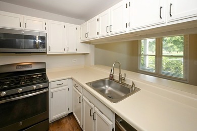 Freshly painted, immaculate 1st floor ranch unit (NO stairs) on - photo 11