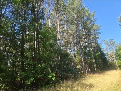 12.3 acres, LAKEFRONT, UNZONED and CONVENIENT TO 85 yet not in a - photo 11