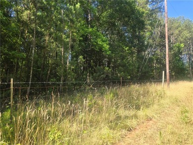 12.3 acres, LAKEFRONT, UNZONED and CONVENIENT TO 85 yet not in a - photo 12