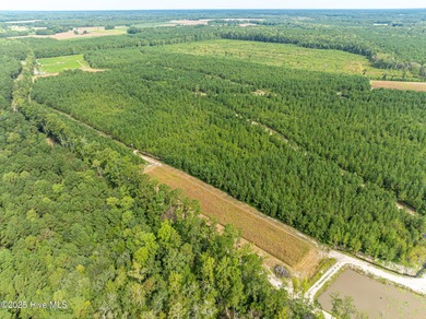Three parcels 429+/- acres zoned general use, high land that the - photo 3