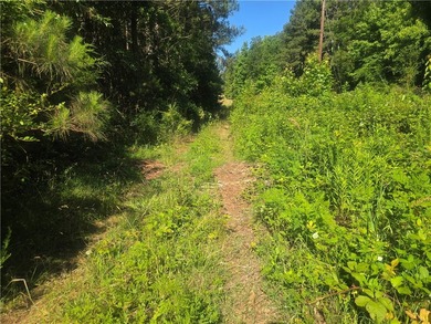 12.3 acres, LAKEFRONT, UNZONED and CONVENIENT TO 85 yet not in a - photo 13