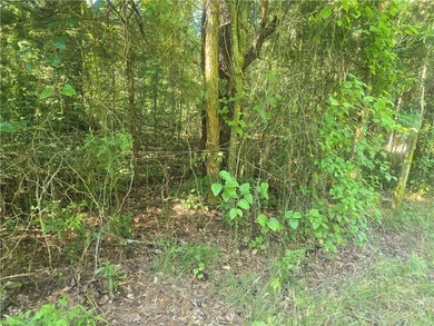 12.3 acres, LAKEFRONT, UNZONED and CONVENIENT TO 85 yet not in a - photo 14