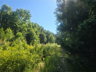 12.3 acres, LAKEFRONT, UNZONED and CONVENIENT TO 85 yet not in a - photo 15