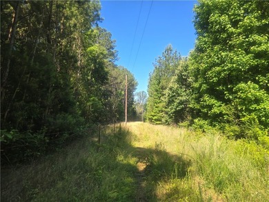 12.3 acres, LAKEFRONT, UNZONED and CONVENIENT TO 85 yet not in a - photo 16