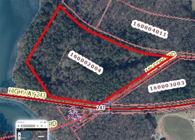 12.3 acres, LAKEFRONT, UNZONED and CONVENIENT TO 85 yet not in a - photo 17