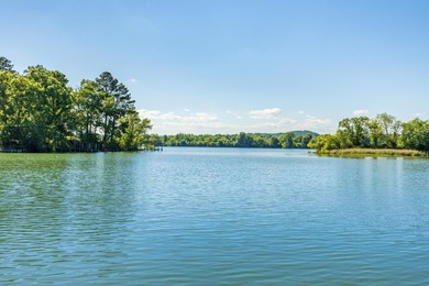 Welcome to your waterfront retreat with no restrictions, no HOA - photo 47