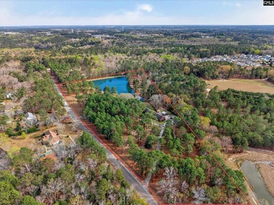 (private lake, pond, coastal) Home For Sale in Lexington South Carolina