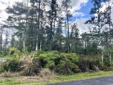 Discover the potential of this well-located vacant lot in - photo 1