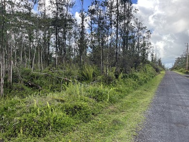 Discover the potential of this well-located vacant lot in - photo 2