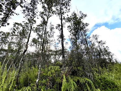 Discover the potential of this well-located vacant lot in - photo 3