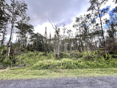 Discover the potential of this well-located vacant lot in - photo 5