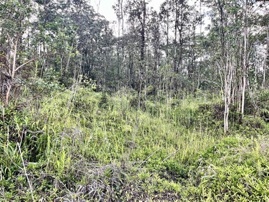 Discover the potential of this well-located vacant lot in - photo 6