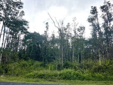 Discover the potential of this well-located vacant lot in - photo 8