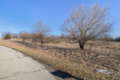 Lake Acreage For Sale in Brooklyn, Michigan