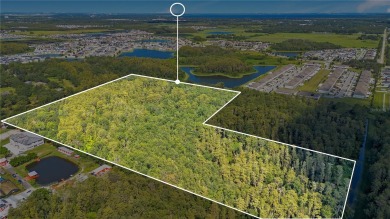 Alligator Lake - Osceola County Acreage For Sale in ST Cloud Florida