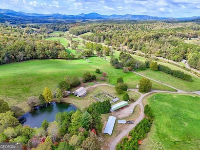 Lake Home For Sale in Warne, North Carolina