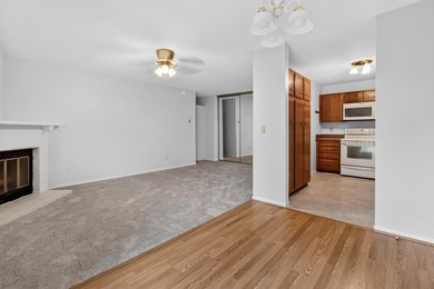 Move-in ready and recently refreshed, this spacious 2-bedroom - photo 9