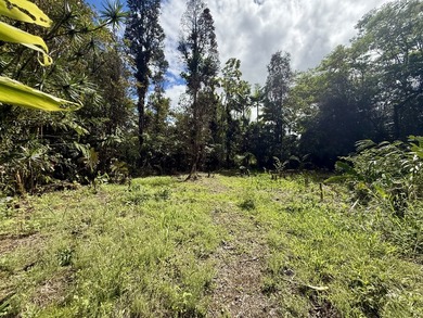 Tucked away in the lush upcountry community of Ola'a Reservation - photo 8