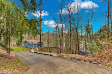 Lake Home For Sale in Malvern, Ohio