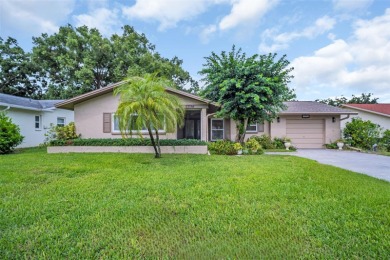 Lake Tarpon Home For Sale in Palm Harbor Florida