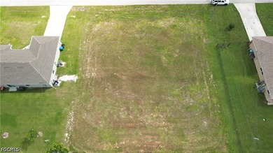 Rare Triple-Lot Opportunity in NW Cape Coral! Nearly 15,000 - photo 1