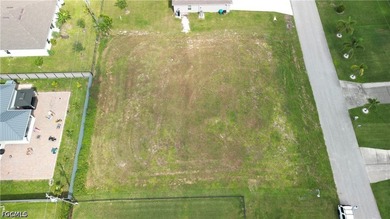 Rare Triple-Lot Opportunity in NW Cape Coral! Nearly 15,000 - photo 3