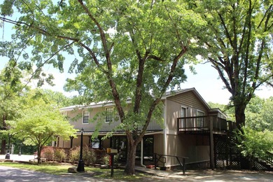 Prime Commercial Opportunity with Residential Living in Mountain - photo 4