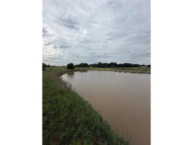 Beautiful 26-acre property with a well-maintained gravel road - photo 4