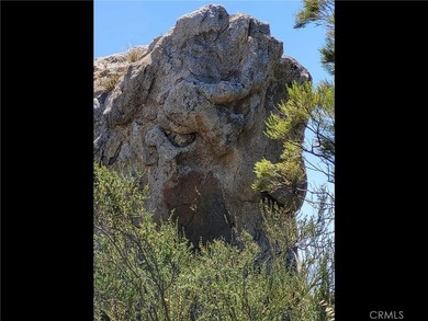 Capped WELL & VIEWS - Your opportunity to build your dream home - photo 5