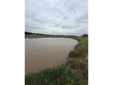 Beautiful 26-acre property with a well-maintained gravel road - photo 5