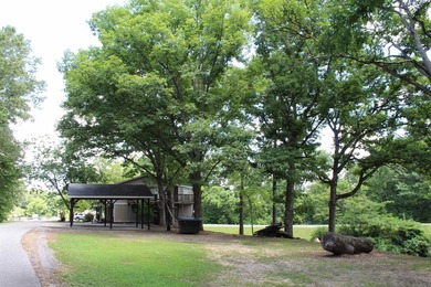 Prime Commercial Opportunity with Residential Living in Mountain - photo 8