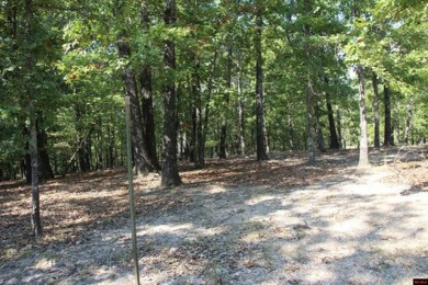 Bull Shoals Lake Acreage For Sale in Oakland Arkansas