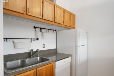 Welcome to your urban oasis in the heart of Goose Hollow