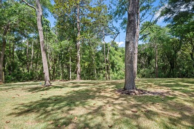 Completely Renovated 4BR/2.5BA on 3/4 Acre -- New Roof, HVAC - photo 41