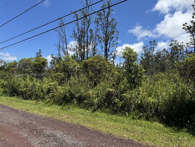Now is the perfect time to invest in this this quarter acre - photo 1