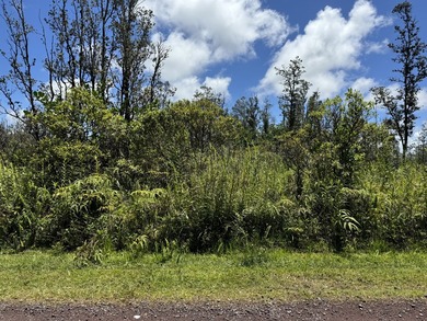 Now is the perfect time to invest in this this quarter acre - photo 2