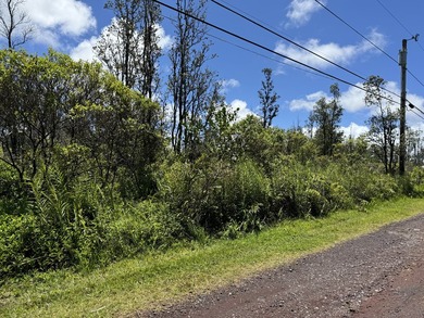 Now is the perfect time to invest in this this quarter acre - photo 3