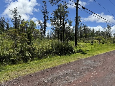 Now is the perfect time to invest in this this quarter acre - photo 4