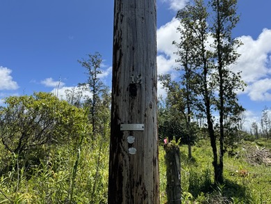 Now is the perfect time to invest in this this quarter acre - photo 5