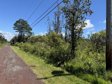 Now is the perfect time to invest in this this quarter acre - photo 6