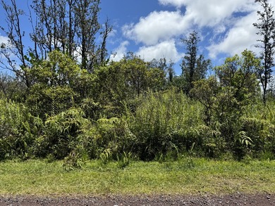 Now is the perfect time to invest in this this quarter acre - photo 8