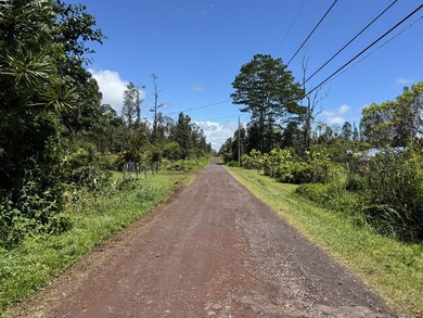 Now is the perfect time to invest in this this quarter acre - photo 9