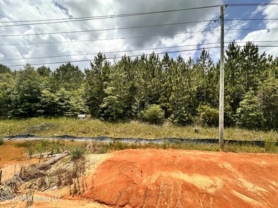 3.72 Acres on heavily traveled Highway 49 available. Property is - photo 11